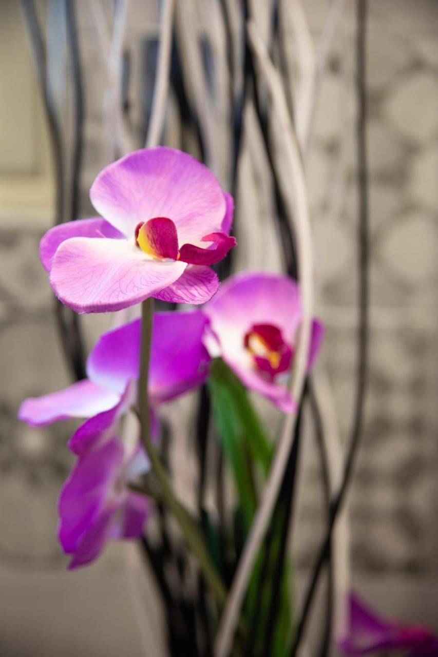 Palermo Suites & Rooms エクステリア 写真